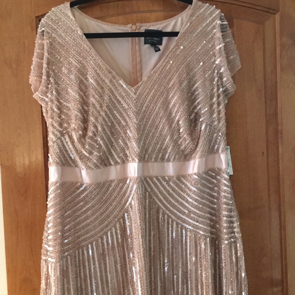 Adrianna Papell Size 16 Cap Sleeve Blush Gown